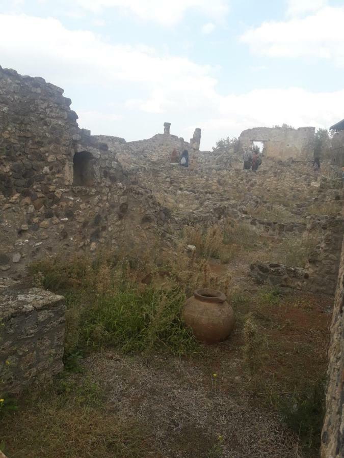 شقة Rosy Monolocale Nel Centro Storico Di Torre Annunziata Di Fronte Scavi Oplonti المظهر الخارجي الصورة